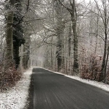 Homestay szállás Gaestehuset Rosenvang *