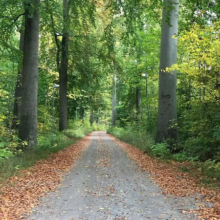 Homestay Gaestehuset Rosenvang